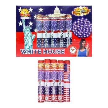 White House image