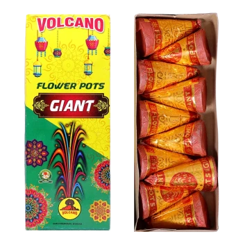 Flower Pots Giant & Ashoka image